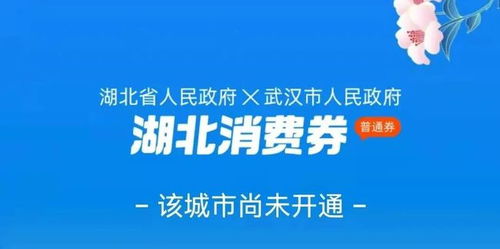 湖北美食消费券与美团湖北消费券使用指南，详细步骤解析