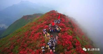 湖北旅游探秘,领略楚天大地之美景与文化魅力 湖北旅游探秘,领略楚天大地之美景与文化魅力