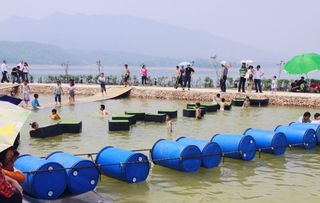 湖北假日山水旅游与休闲度假胜地探索