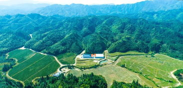 湖北必游景点与最佳民宿，私藏旅游指南