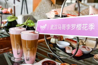 湖北美食手机支架拍照攻略，探寻最佳手机支架，留住味蕾盛宴的瞬间