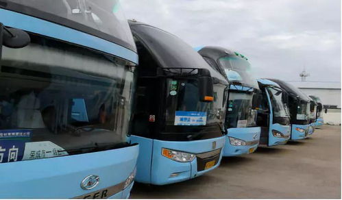 湖北省际旅游大巴线路图及旅游大巴介绍 湖北省际旅游大巴线路图及旅游大巴介绍