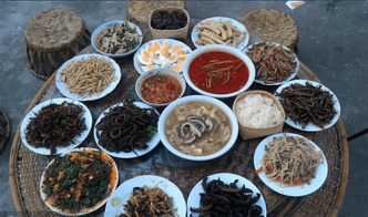 湖北美食虫子高清图片大全，美味与视觉的双重盛宴