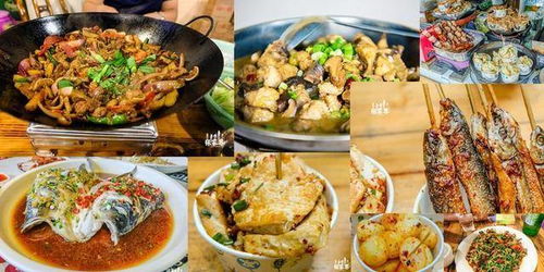 湖北美食探源与特色介绍，品味湖北美食的独特魅力