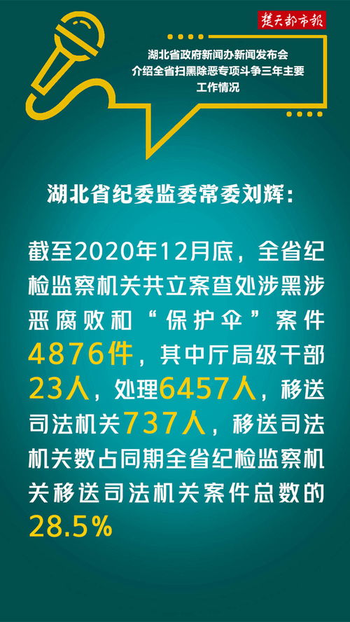 湖北房产扫黑行动，深度解析与内容简介