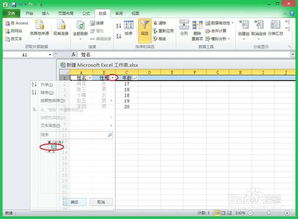 湖北怡莲丝绸旅游与Excel排序筛选技巧