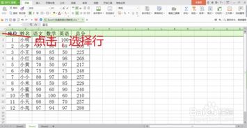 湖北怡莲丝绸旅游与Excel排序筛选技巧