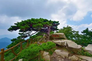 湖北旅游城市概览，探索湖北的旅游胜地城市