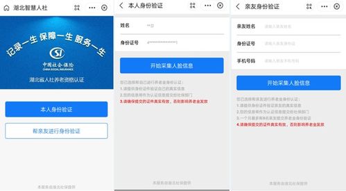 支付宝上传湖北房产证教程，详细步骤解析