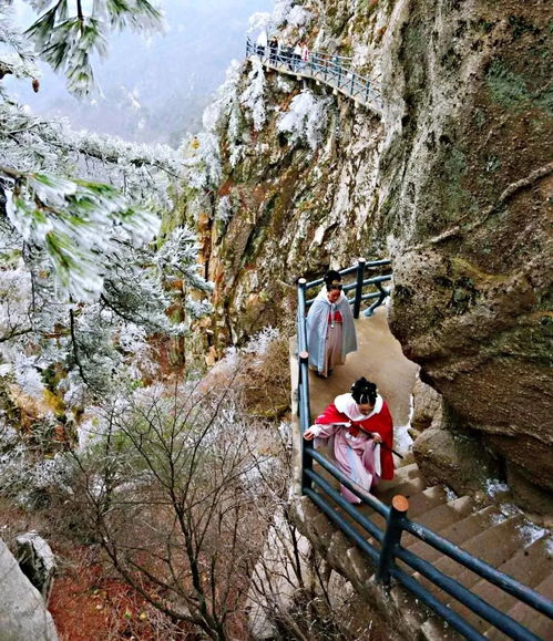 湖北旅游大巴尧山探秘与浙江美术生数量揭秘