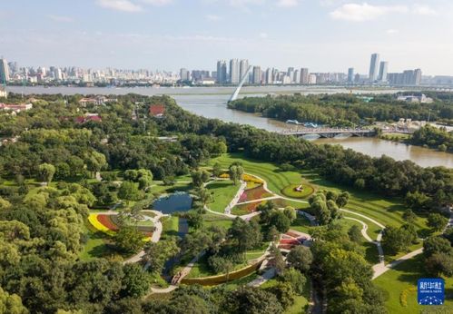 龙子湖北公园旅游攻略大全