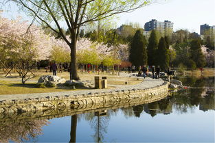 龙子湖北公园旅游攻略大全