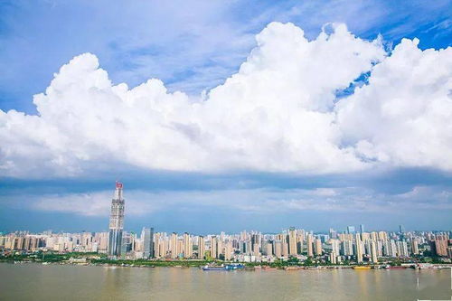 湖北彩霞旅游公司，湖北旅游业的佼佼者