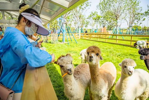 湖北亲子游攻略，带孩子畅游湖北好去处