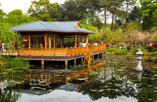 湖北武汉市周边旅游景点探秘