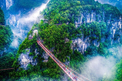 湖北三日游,免费景点一网打尽,三八湖北旅游必游景点 湖北三日游,免费景点一网打尽,三八湖北旅游必游景点