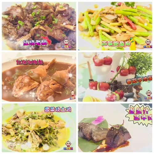 深圳湖北美食乐园招聘启事,探寻深圳美味湖北菜馆之旅 深圳湖北美食乐园招聘启事,探寻深圳美味湖北菜馆之旅