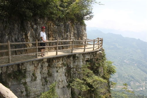 重庆利川旅游攻略，探索恩施利川的必游景点