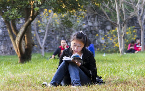 湖北房产二维码，房产联网的新动态