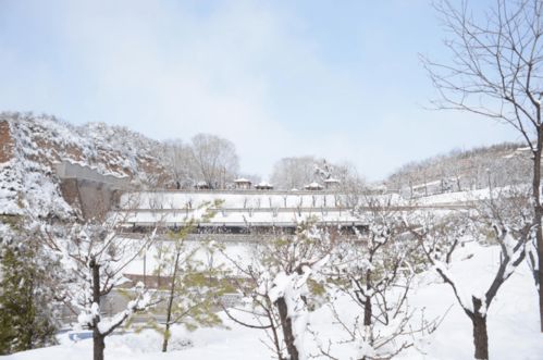 湖北仙桃旅游指南，探秘下雪的美景