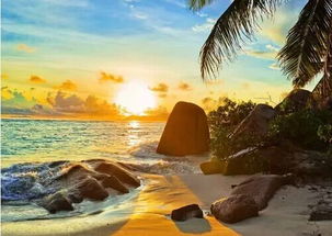 迪拜旅游湖北，最佳旅游季节推荐