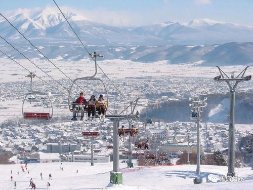湖北滑雪场旅游全攻略，精彩滑雪之旅，畅游湖北滑雪场旅游团