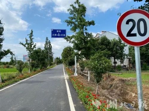 湖北安陆旅游景点举报渠道及举报电话揭秘