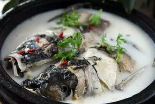 周明荣的湖北美食菜谱与绘画艺术，品味美食，欣赏画作