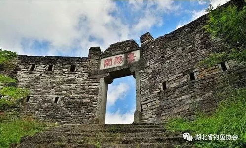 湖北恩施景阳旅游与景江生态旅游投资开发有限公司,探索自然之美,共创旅游未来 湖北恩施景阳旅游与景江生态旅游投资开发有限公司,探索自然之美,共创旅游未来