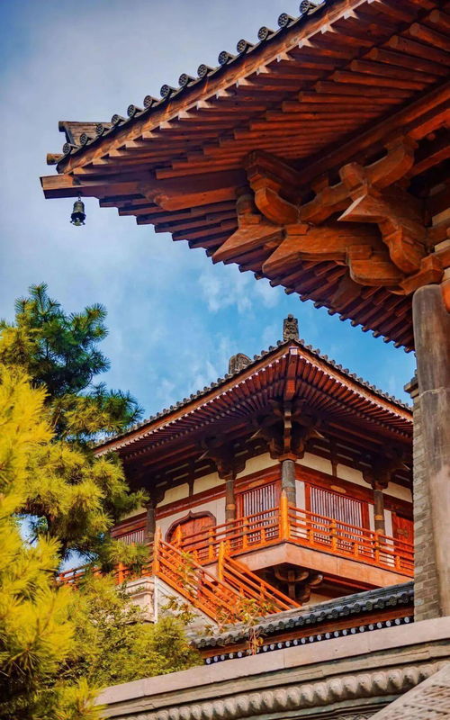 湖北美食线描画与简笔画图片大全