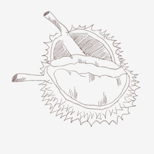 湖北美食线描画与简笔画图片大全