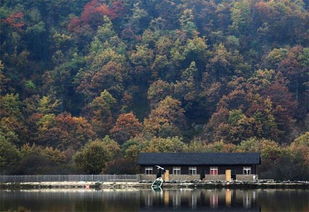 湖北全境旅游探索，湖北省内旅游全攻略