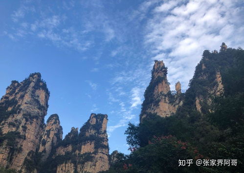 湖北张家界旅游攻略,探索绝美景点与独特风情 湖北张家界旅游攻略,探索绝美景点与独特风情