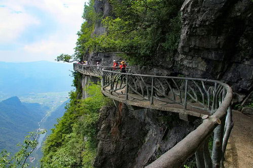 湖北张家界旅游攻略,探索绝美景点与独特风情 湖北张家界旅游攻略,探索绝美景点与独特风情