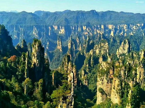 湖北张家界旅游攻略,探索绝美景点与独特风情 湖北张家界旅游攻略,探索绝美景点与独特风情
