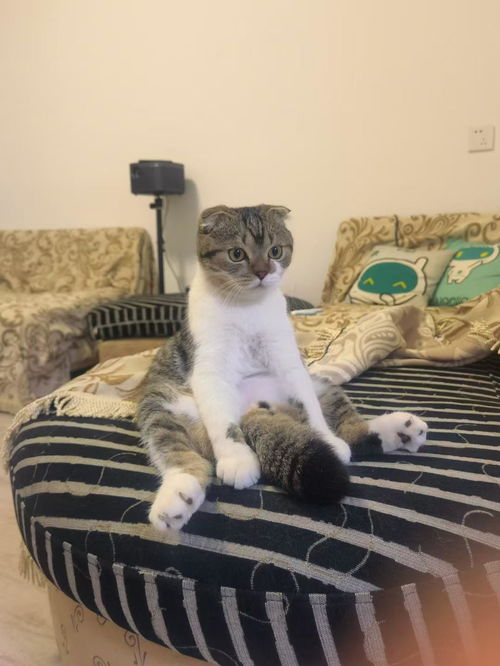 湖北旅游产品价格分析与概述