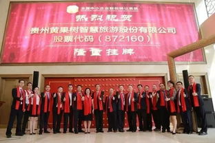 湖北智荟旅游集团与湖北智旅云，共创旅游新篇章