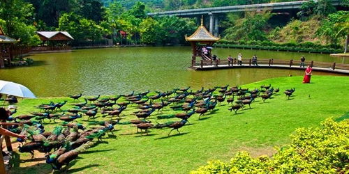 湖北春夏旅游季节的绝佳体验