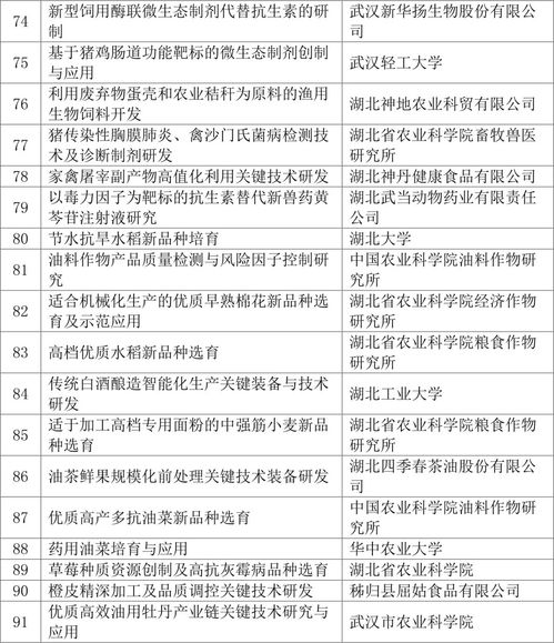 湖北房产税申报表详解，申报流程与湖北省房产税实施细则解读