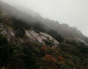 英山旅游湖北排名及旅游攻略详解