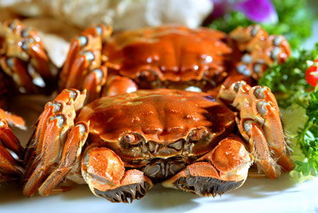 湖北大闸蟹，美味佳肴，口感绝佳