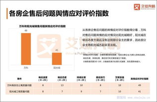 湖北房产品牌推广分析报告简述