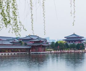 湖北儿童游玩胜地，探索湖北最佳儿童旅游目的地