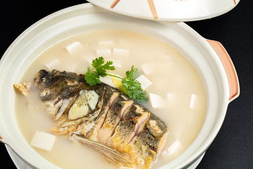 湖北美食鱼产量排名最新榜单揭晓，湖北本地鱼的盛宴