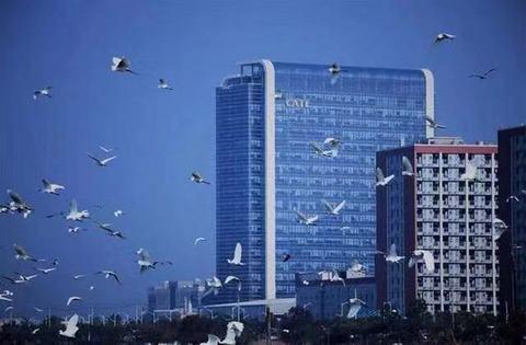 湖北房产模型定制价格揭秘，多少钱可获6金apple上词快？