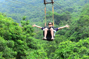 湖北旅游滑道与滑索，速度与激情的旅程