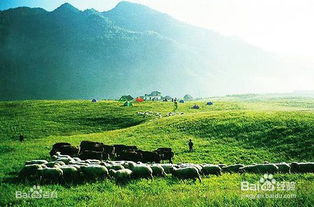 湖北汉川旅游探秘，汉川旅游攻略大全