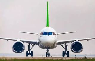 湖北直升飞机旅游公司概览，探索旅游新纪元