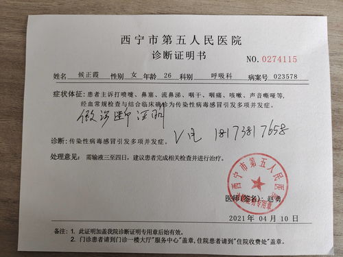 湖北房产证明图片大全，高清样本展示