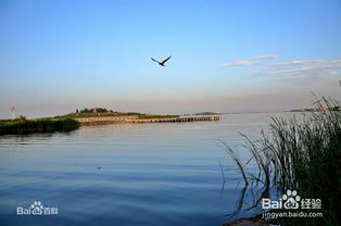 湖北仙桃旅游攻略，必去景点全攻略